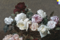 New Order Power, Corruption & Lies